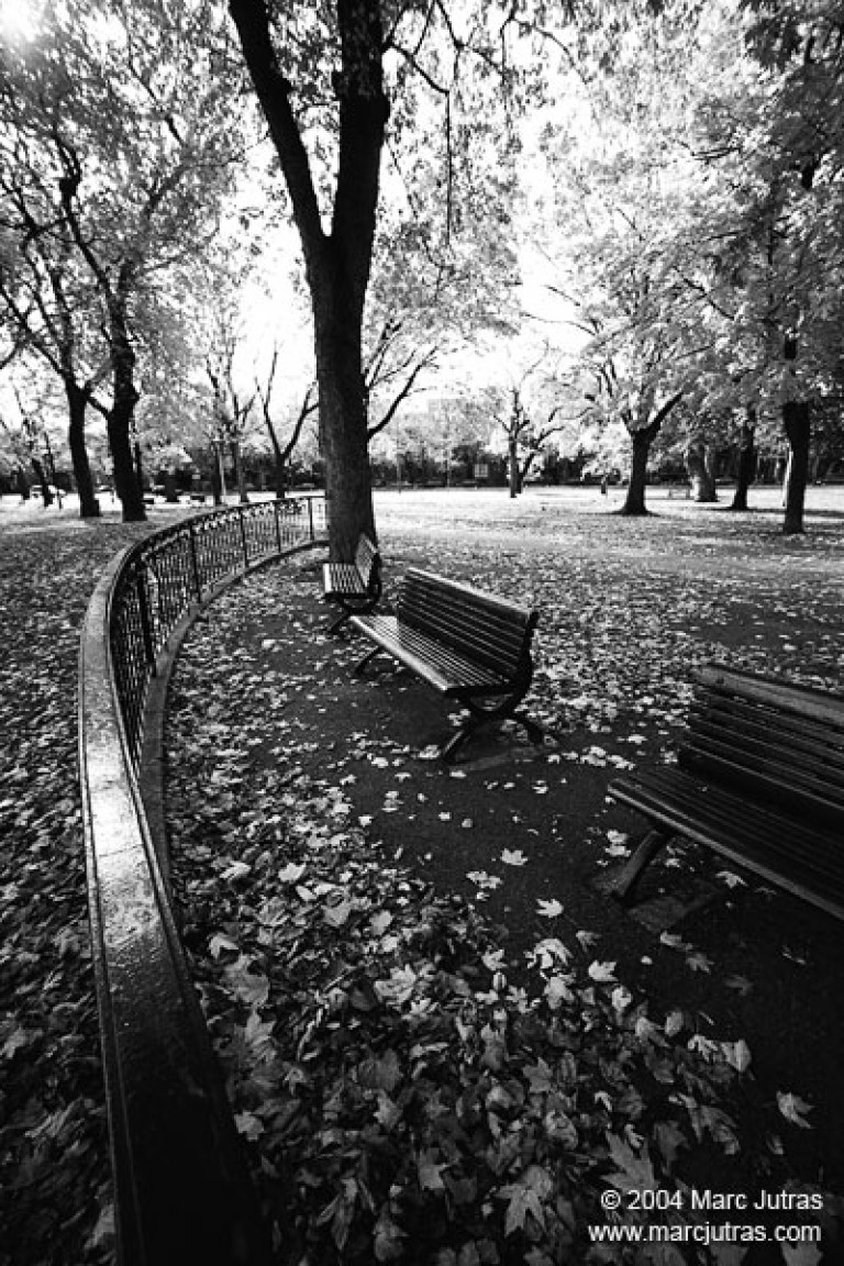 Parc Lafontaine