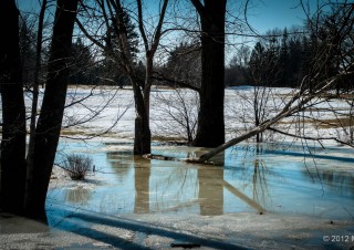 Spring at Maisonneuve Park