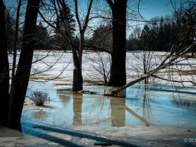 Spring at Maisonneuve Park