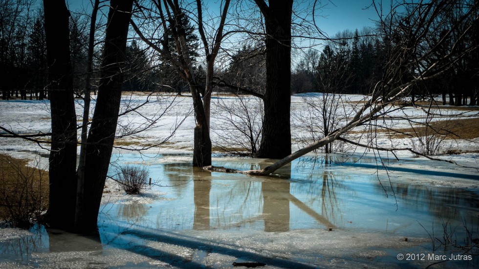 Spring at Maisonneuve Park