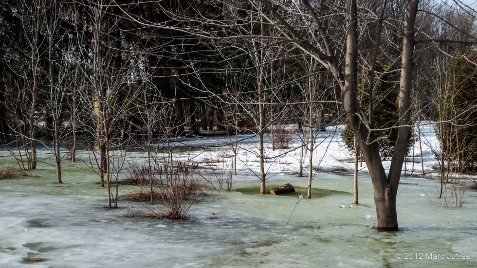 Spring at Maisonneuve Park