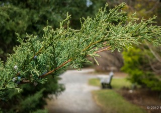 Botanical Garden