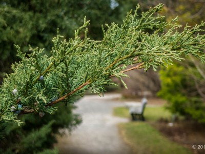 Botanical Garden