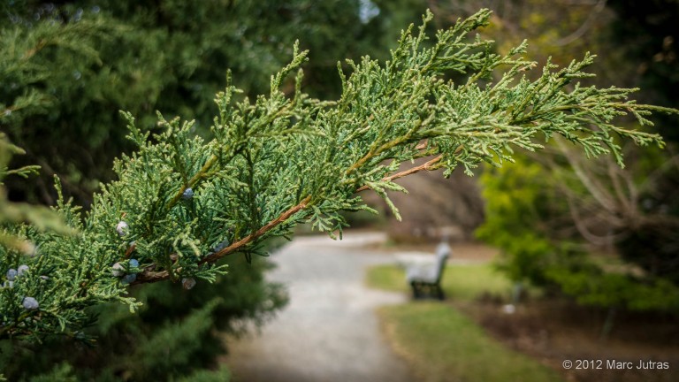 Botanical Garden